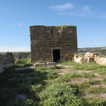 9129737f-2c4f-4bba-a3e8-c1c4b979036c