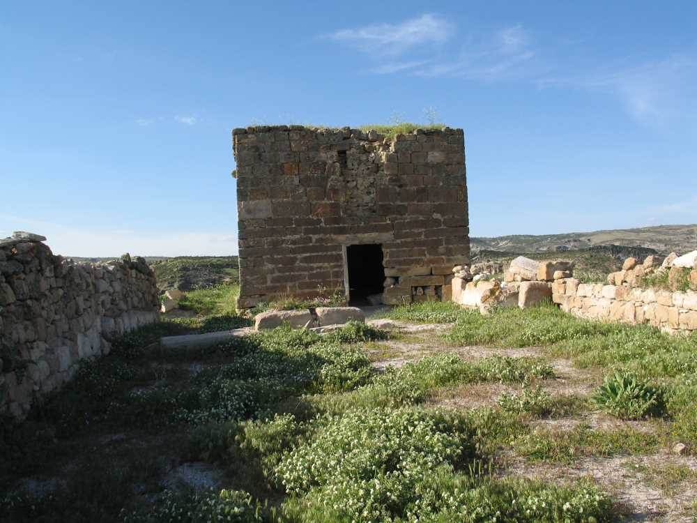 9129737f-2c4f-4bba-a3e8-c1c4b979036c