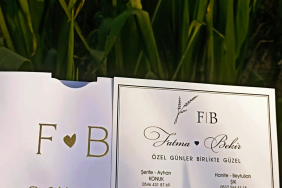 17576112142054216492