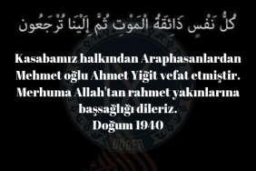 17589635501679526548