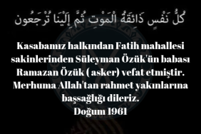 17589742481169172778