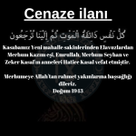 17737703891510146795